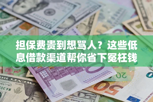 济南担保费贵到想骂人？这些低息借款渠道帮你省下冤枉钱