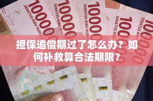 济南担保追偿期过了怎么办？如何补救算合法期限？
