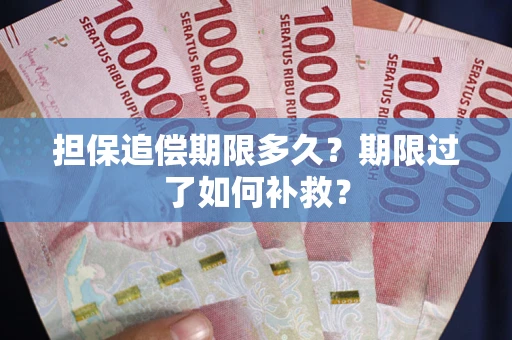 济南担保追偿期限多久？期限过了如何补救？