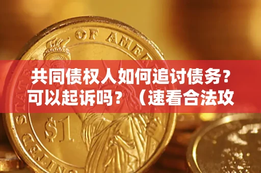 济南共同债权人如何追讨债务？可以起诉吗？（速看合法攻略）