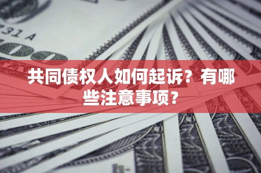 济南共同债权人如何起诉？有哪些注意事项？